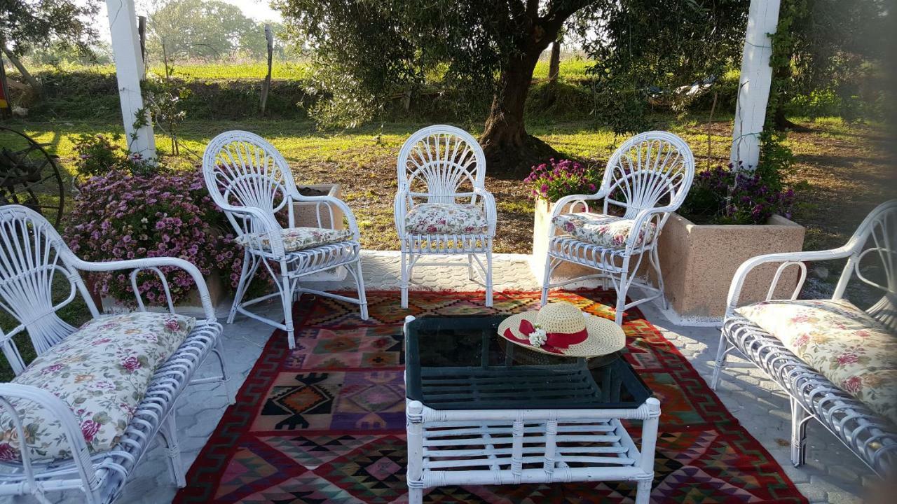Agriturismo Heaven Капо Ватикано Екстериор снимка