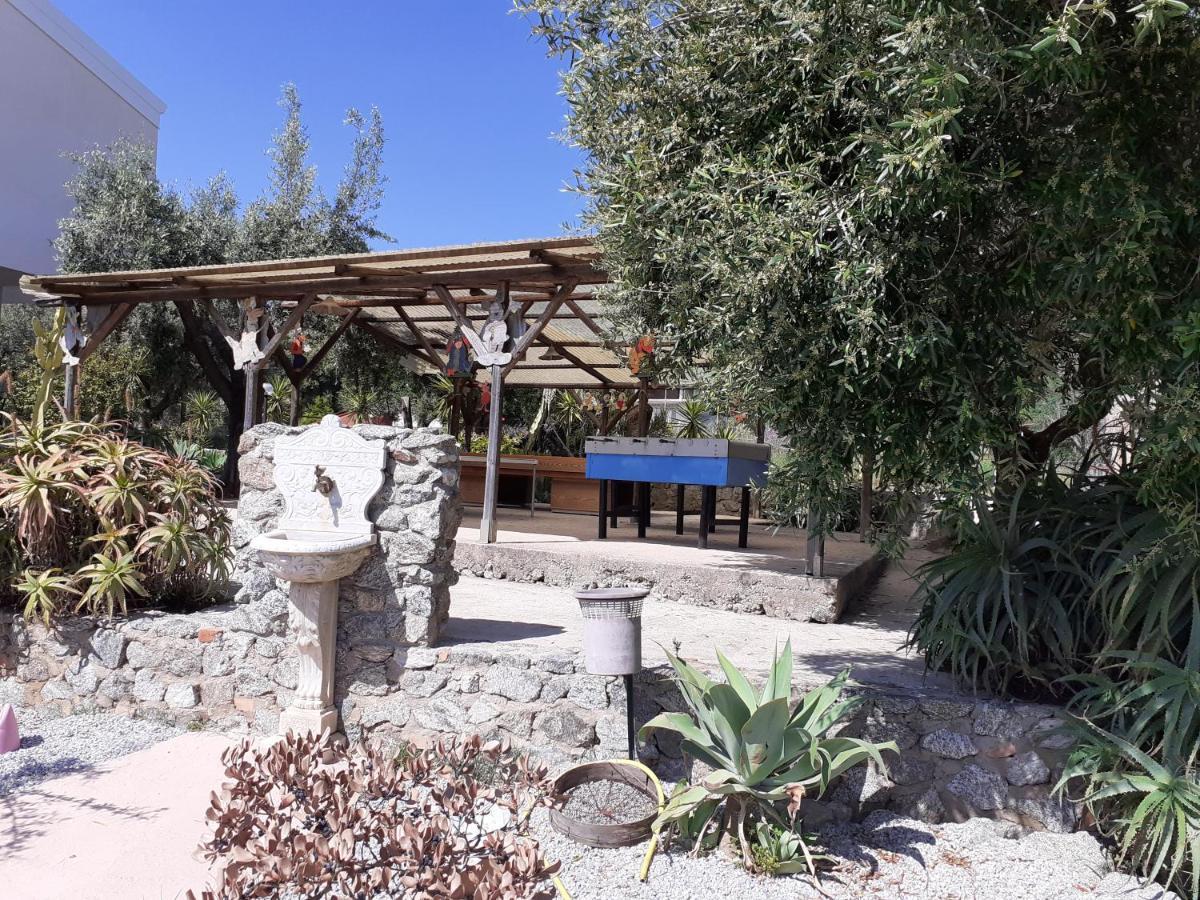 Agriturismo Heaven Капо Ватикано Екстериор снимка